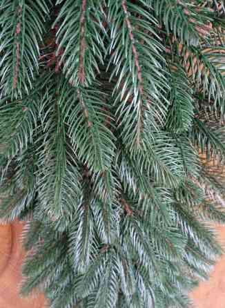 Гірлянда з хвої Преміум 1.5 м лита (Зелена) Київ