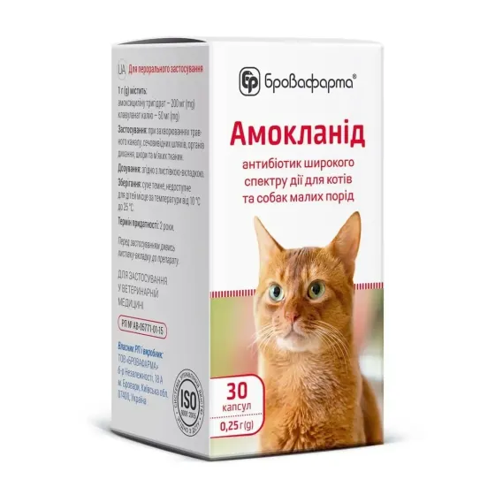 Амокланід для котів та малих собак капсули по 0,25 г 30 штук, Бровафарма Вінниця