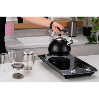 Настольная плита Ardesto ICS-B216 Винница - изображение 4