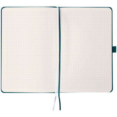 Книга записна Axent Partner Колоски 125x195 мм, 96 аркушів, клітинка, малахітова (8201-31-6-A) Вінниця - фото 2