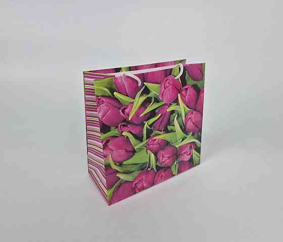 Пакет бумажный подарочный квадратный 23*24*10(артKV-055) (12 шт) Харьков