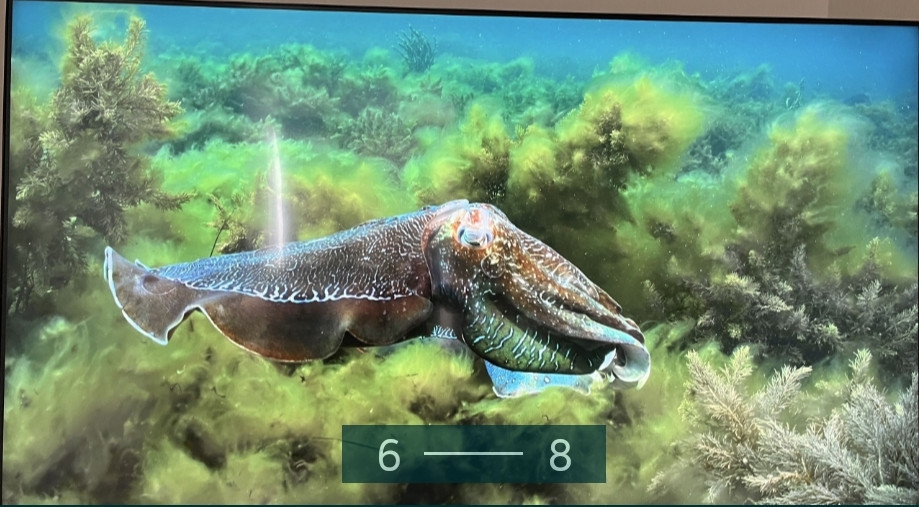 Телевизор Samsung 58