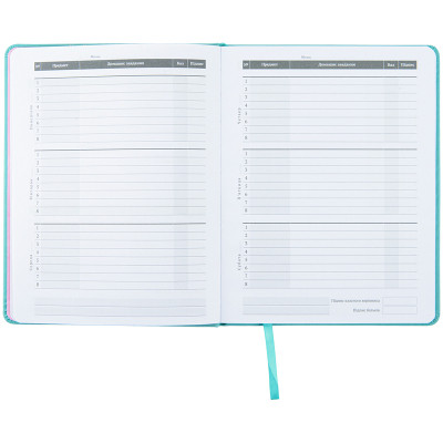 Дневник школьный Kite Roller-skates твердая обложка (K22-264-3) Винница - изображение 6