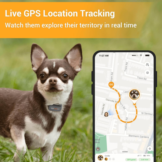 GPS-трекер Pawfit Lite 4G для собак Black Onyx, GPS в реальном времени, мониторинг активности, история маршрутов, неограниченный Киев