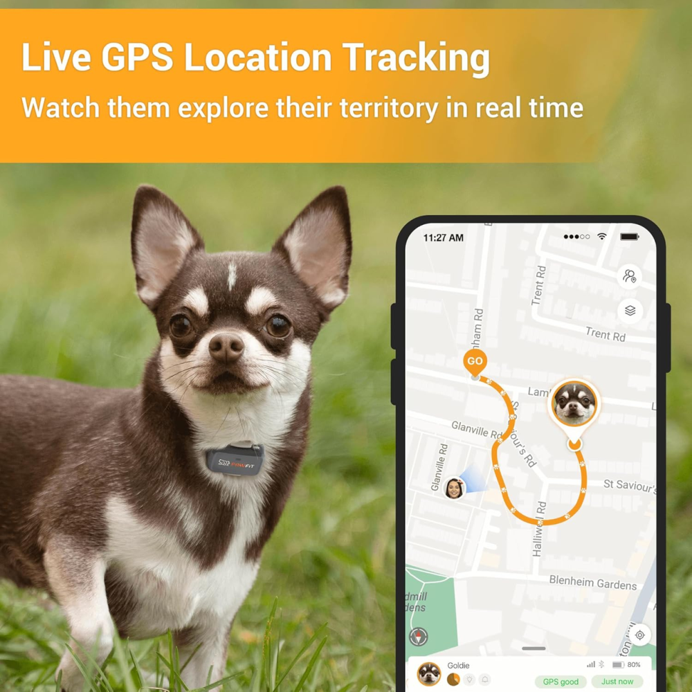 GPS-трекер Pawfit Lite 4G для собак Black Onyx, GPS в реальном времени, мониторинг активности, история маршрутов, неограниченный Киев - изображение 3