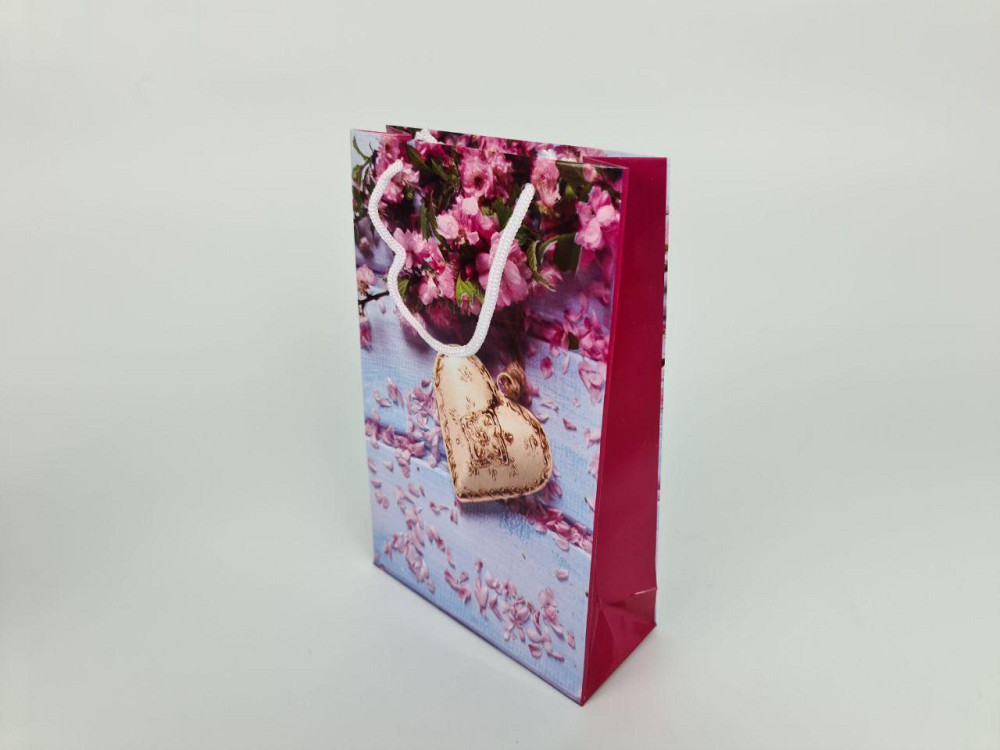 Паперовий пакет подарунковий Середній 17/26/8 (артSV-030) (12 шт.) Харків - фото 2