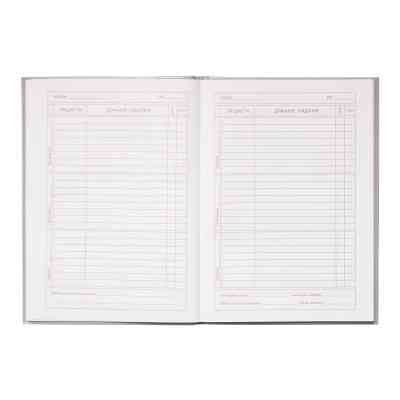 Дневник школьный ZiBi ICE CREAM В5 48 листов (ZB.13811) Винница