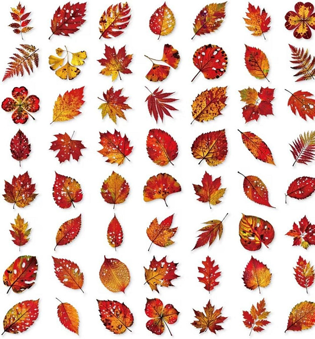 Наклейки осенние листья реалистичные 56 шт для скрапбукинга дневника декора Киев - изображение 2