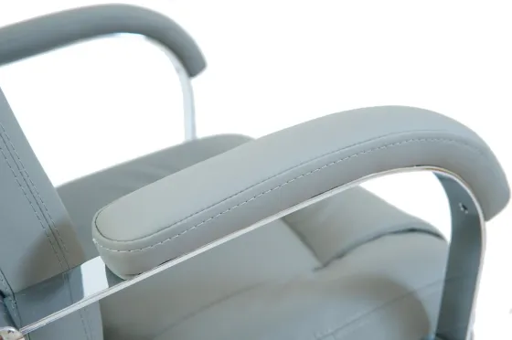 Офісне Крісло Керівника Richman Alberto Fly 2233 Хром М2 AnyFix Сірий Київ