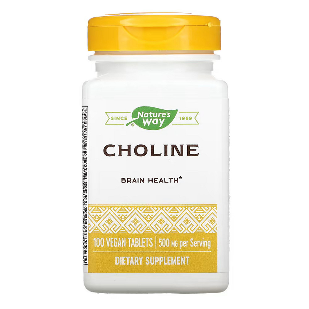 Choline 500 mg - 100 tabs Луцьк - фото 1