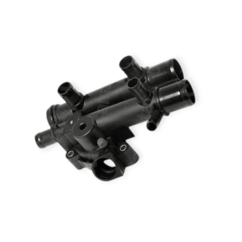 Термостат Master, Laguna, Megane (2000-) Мукачево - фото 1