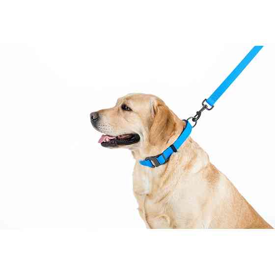 Повідець для собак водостійкий WAUDOG Waterproof, M, Ш 20 мм, Дов 122 см блакитний Коломия