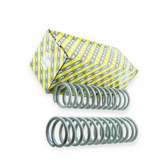 Пружина задньої підвіски 21099, 2115 (к-кт 2 шт) Мукачево