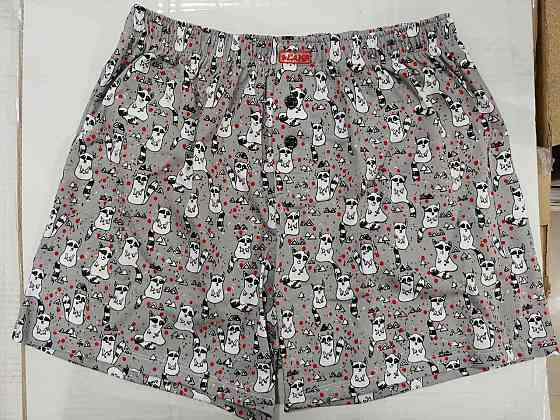 Трусы мужские семейные Lans L 01/040 Киев