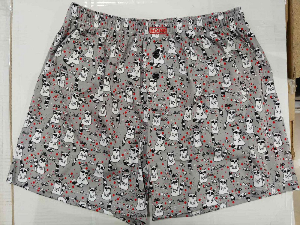 Трусы мужские семейные Lans L 01/040 Киев - изображение 6