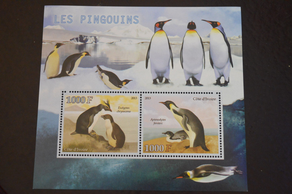 Кот-д’Ивуар. Фауна. Блок. 2015 год (В-6) Полтава - изображение 1