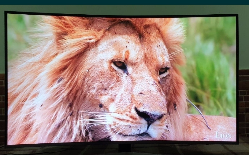 Телевизор Изогнутый : 49