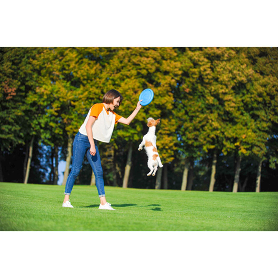 Ігрова тарілка для апортировки PitchDog, діаметр 24 см рожевий Коломыя - изображение 2