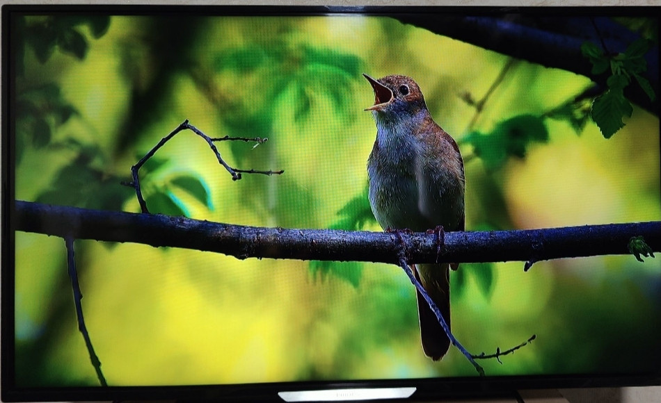 Телевизор Philips 40pfs 5709 Smart TV Киев - изображение 6