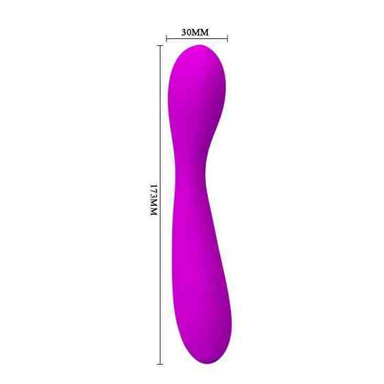 Вибратор PRETTY LOVE NIGEL, USB, 30 function Sex Aura Киев