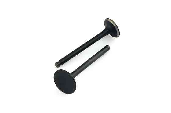 Клапаны (пара, голые) мопед Дельта 70 Мукачево