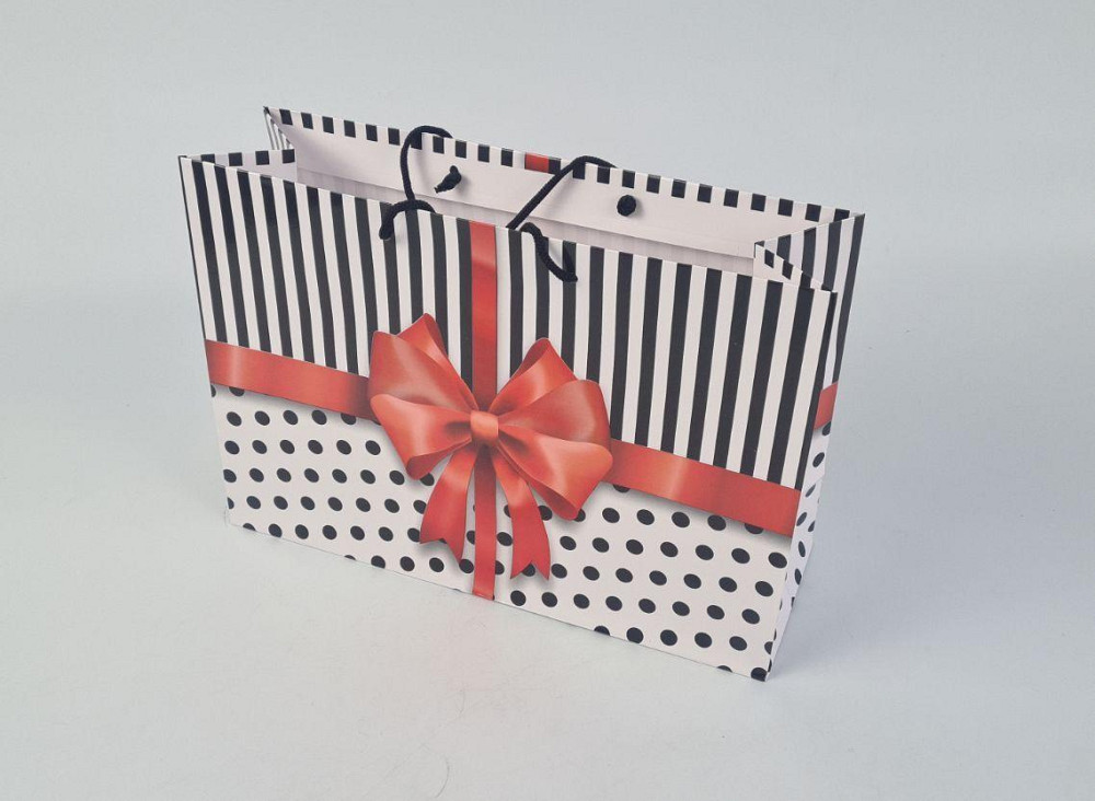 Бумажный большой горизонтальный пакет  36/22/10(артBG-088) (12 шт) Харьков - изображение 1