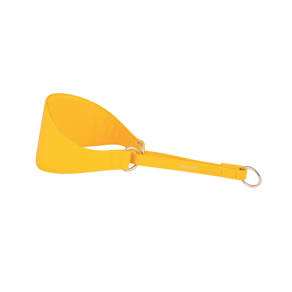 Нашийник-зашморг "CoLLaR GLAMOUR" для хортів без прикрас (ширина 75мм, довжина 38-47см) жовтий Коломыя - изображение 2