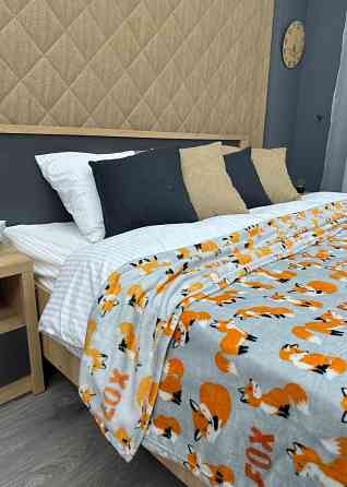Плед-покривало Decorator WellSoft FOX 150х210 см з принтом "Лисички" (87-188) Київ