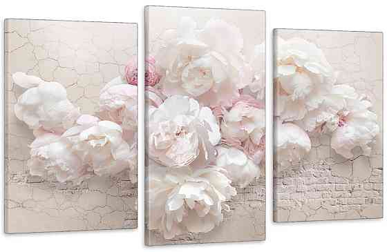 Модульна картина Кольори Ніжні Піони Art-520_3 (53х100sм) Київ