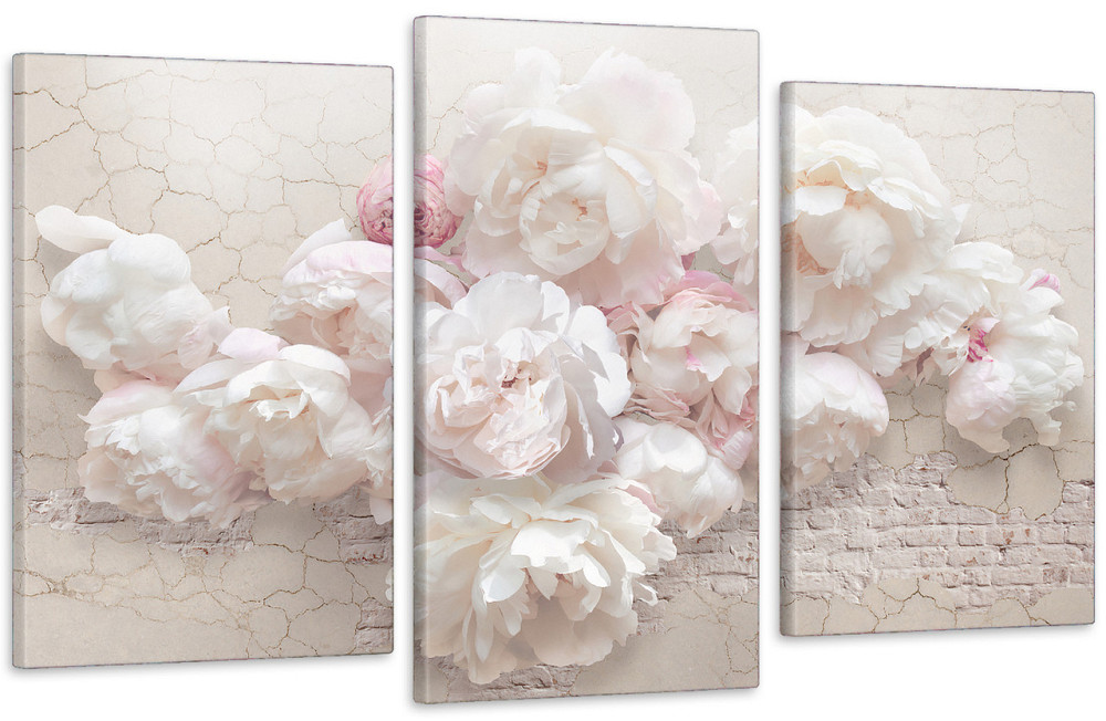 Модульна картина Кольори Ніжні Піони Art-520_3 (53х100sм) Київ - фото 1