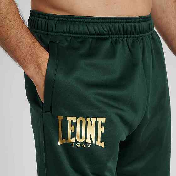 Спортивні штани Leone Premium Green M Кам'янське