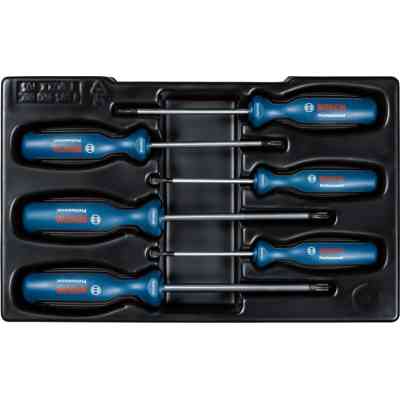 Набор отверток Bosch Torx 6шт, T10х75, T15х75, T20x100, T25x100, T30x125, T40x125 мм (1.600.A01.V09) Винница