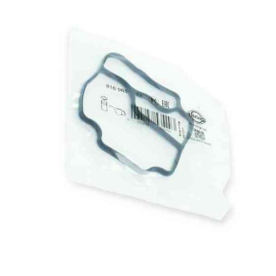 Прокладка радіатора BMW 5 E39 2.2i масляного Мукачево