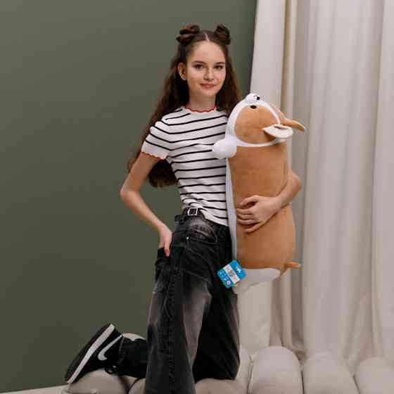 Подушка декоративная собака Корги Норман FWPDOGCORGI23BG70 Винница