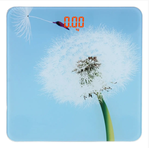 Ваги для підлоги DOMOTEC MS-2019 180кг 5381 Одеса - фото 2