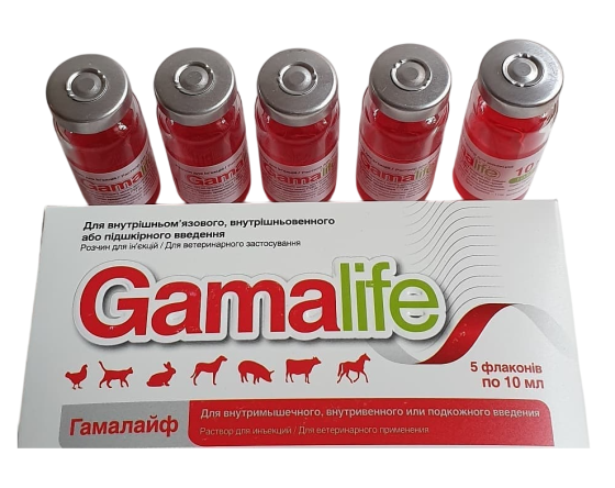 Гамалайф флакон 10 мл (аналог Гаммавіт) (термін придатності до 08.2026 р) Вінниця