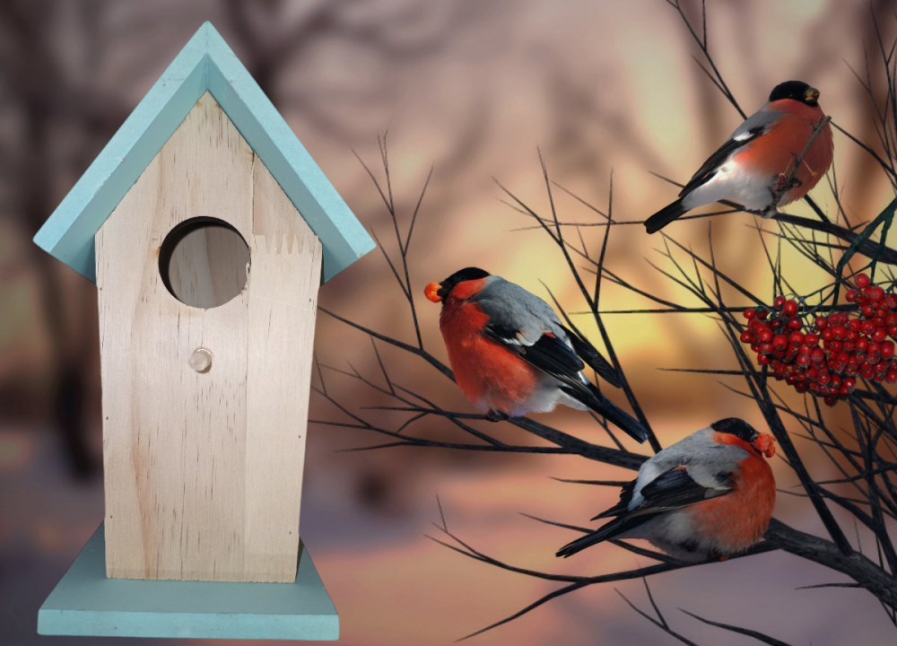 Дерев'яний будиночок для птахів з навісом 20х12,2х12,2 см з підвісним кріпленням Німеччина бірюзовій Київ - фото 1