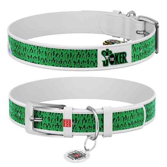 Нашийник для собак шкіряний WAUDOG Design з QR-паспортом, малюнок "Джокер", Ш 12 мм, Д 20-28 см білий Вінниця