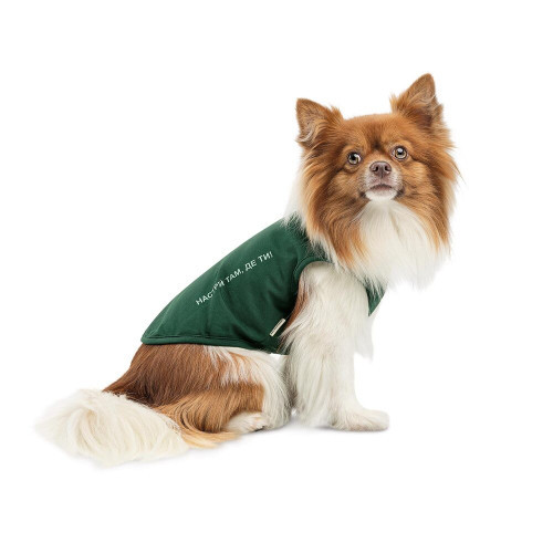 Борцовка Kale ТМ Pet Fashion для собак S зеленая Киев - изображение 2