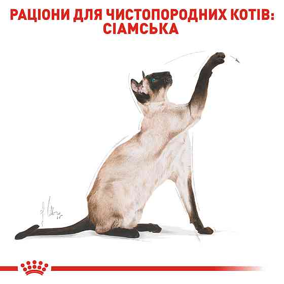 Корм для дорослих котів породи Сіамська ROYAL CANIN SIAMESE ADULT 0.4 кг Київ