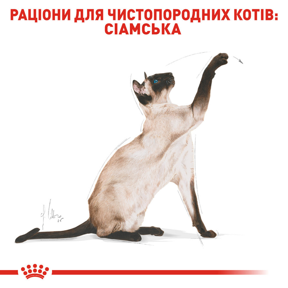 Корм для взрослых кошек породы Сиамская ROYAL CANIN SIAMESE ADULT 0.4 кг Киев - изображение 3