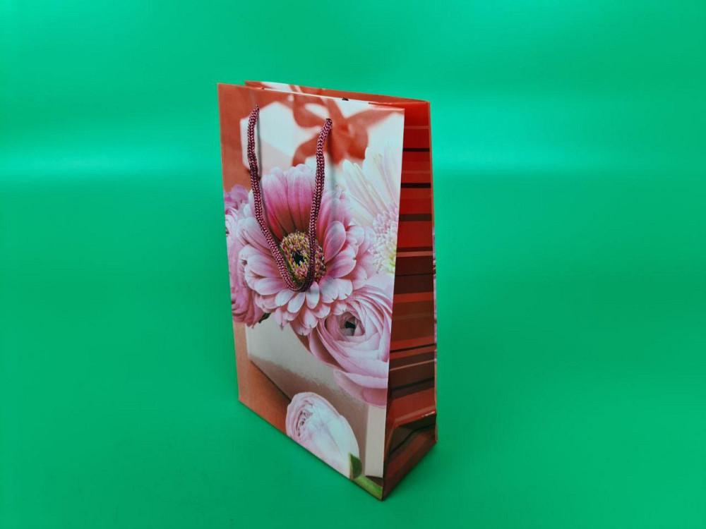 Бумажный пакет подарочный Средний 17/26/8 (артSV-092) (12 шт) Харьков - изображение 1