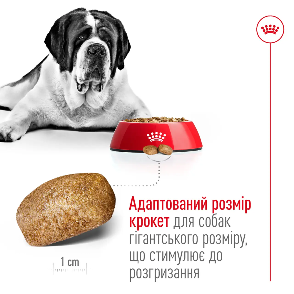 Royal Canin Giant Adult (Рояв Канін Джаїнт Едалт) сухий корм для дорослих собак гігантських порід 15 кілограмів. Запоріжжя - фото 6