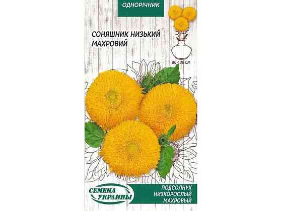 Соняшник низький Махровий (жовтий) ОД 1г (10 пачок) ТМ НАСІННЯ УКРАЇНИ Київ