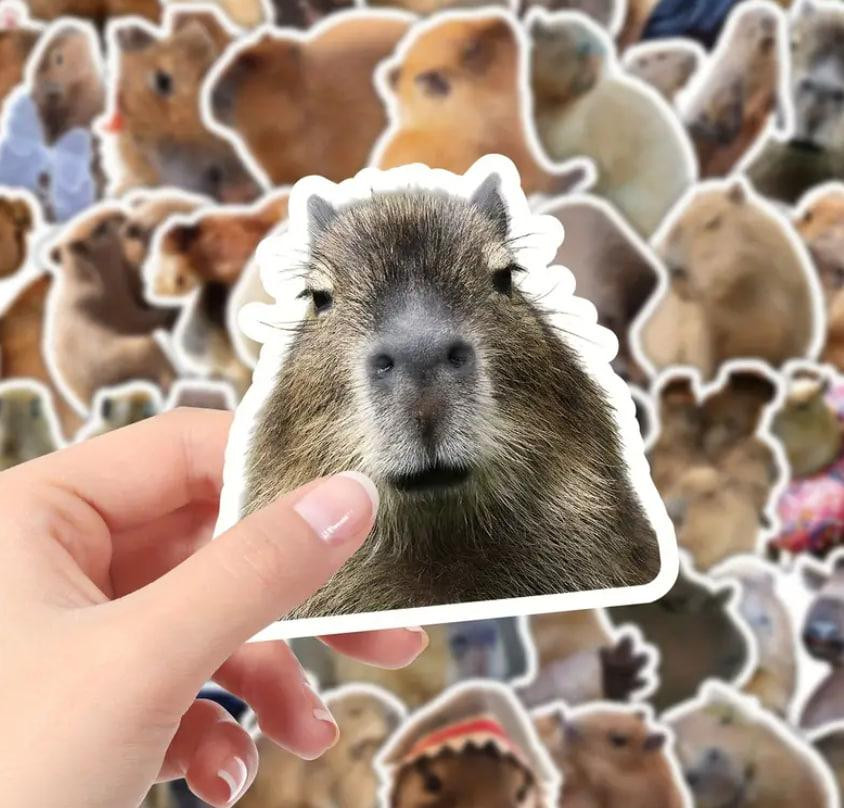 Реалістичні наліпки з капібарою, наліпки з тваринами,водонепроникні наліпки для пляшки з водою, комп Київ - фото 3
