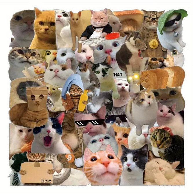 Стикеры с котами. Водонепроницаемые виниловые эстетические наклейки, набор 50 штук. Киев - изображение 1