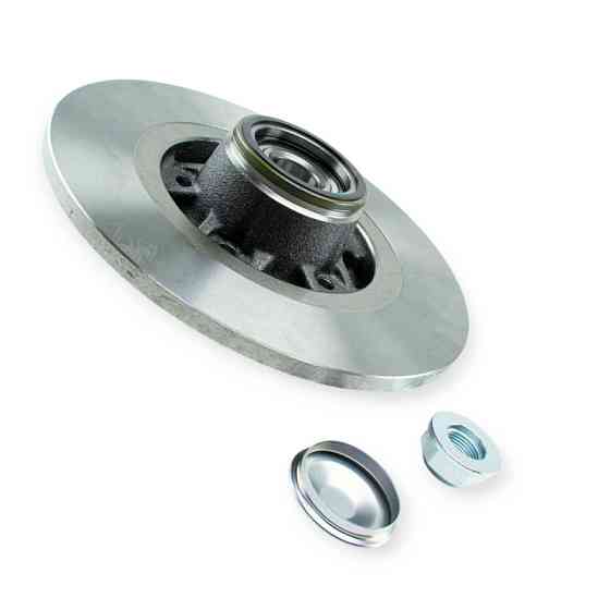 Диск задний Рено Кенго 1.2-1.6i 08- с подш. тормозой Мукачево