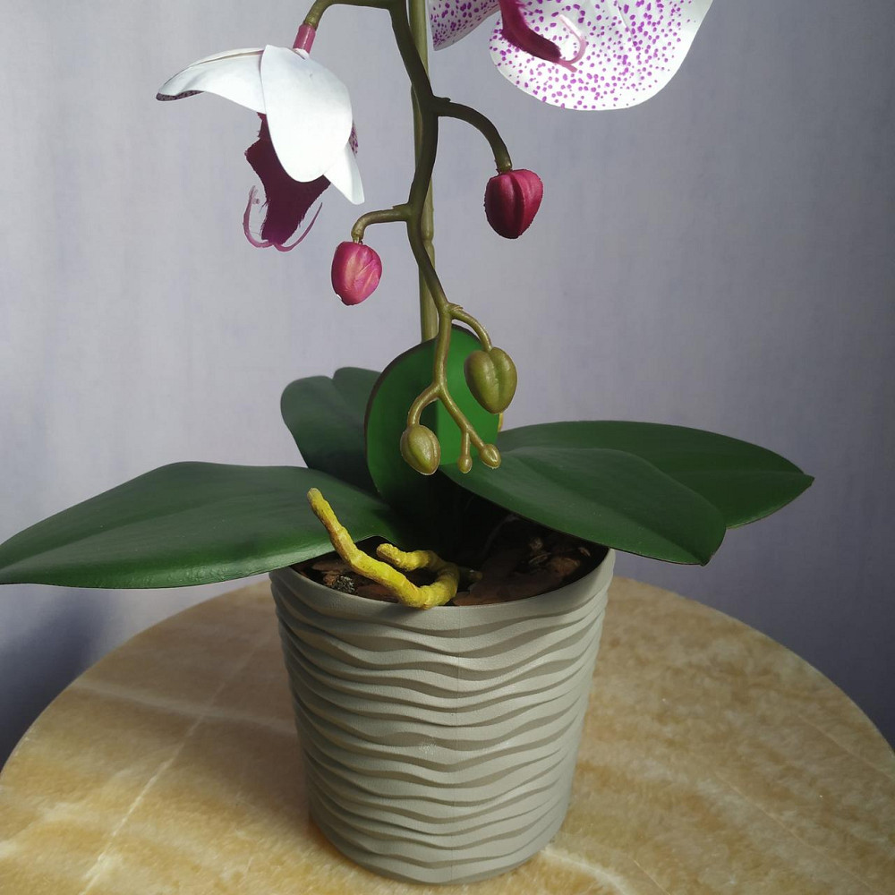 Штучна латексна орхідея VIP у пластиковому кашпо на одну гілку біло-бузкова Дніпро - фото 3