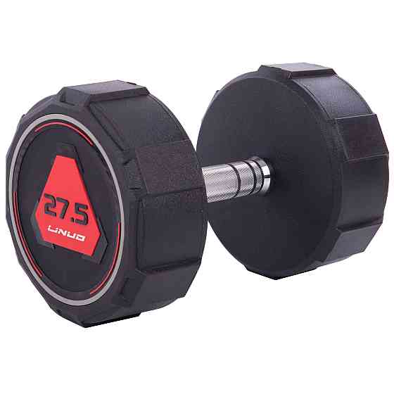Гантель 27.5 кг цільна професійна LI NUO-3618-27_5 Київ