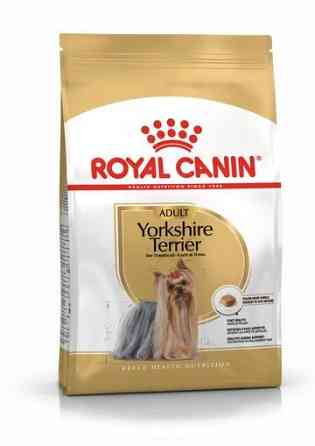 Royal Canin Yorkshire Terrier Adult (Роял Канін Йоркшир Тер'єр Едалт) корм для йоркширських тер'єрів від 10 міс Запоріжжя